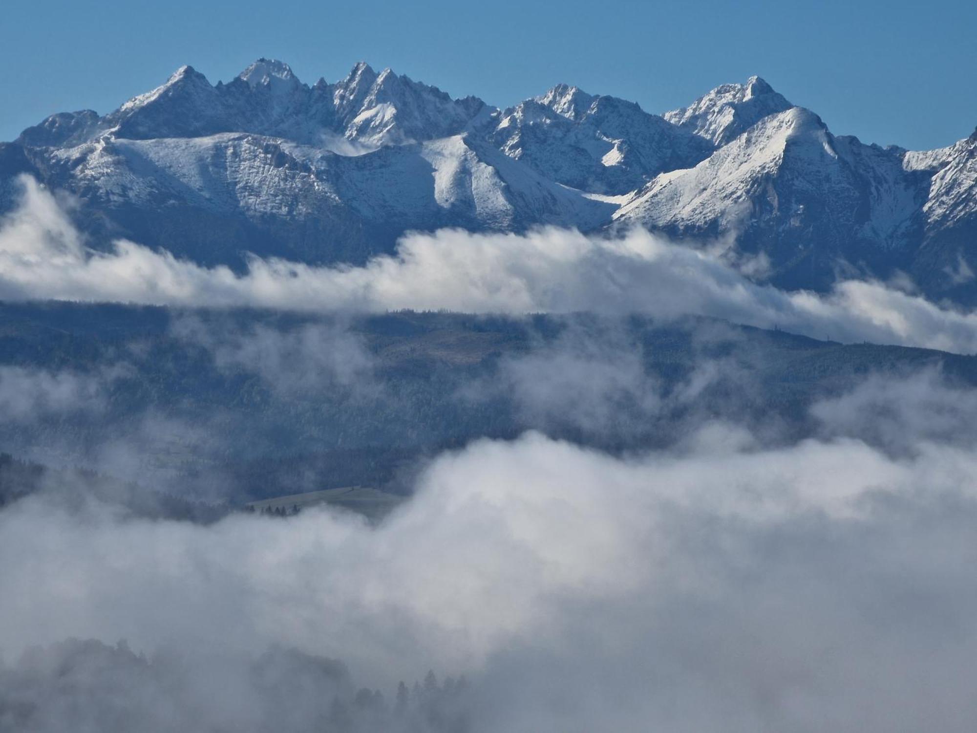 Lobrotno Gazdzina - Goralska Chalupa Na Wylacznosc Villa Bukowina Tatrzanska Bagian luar foto