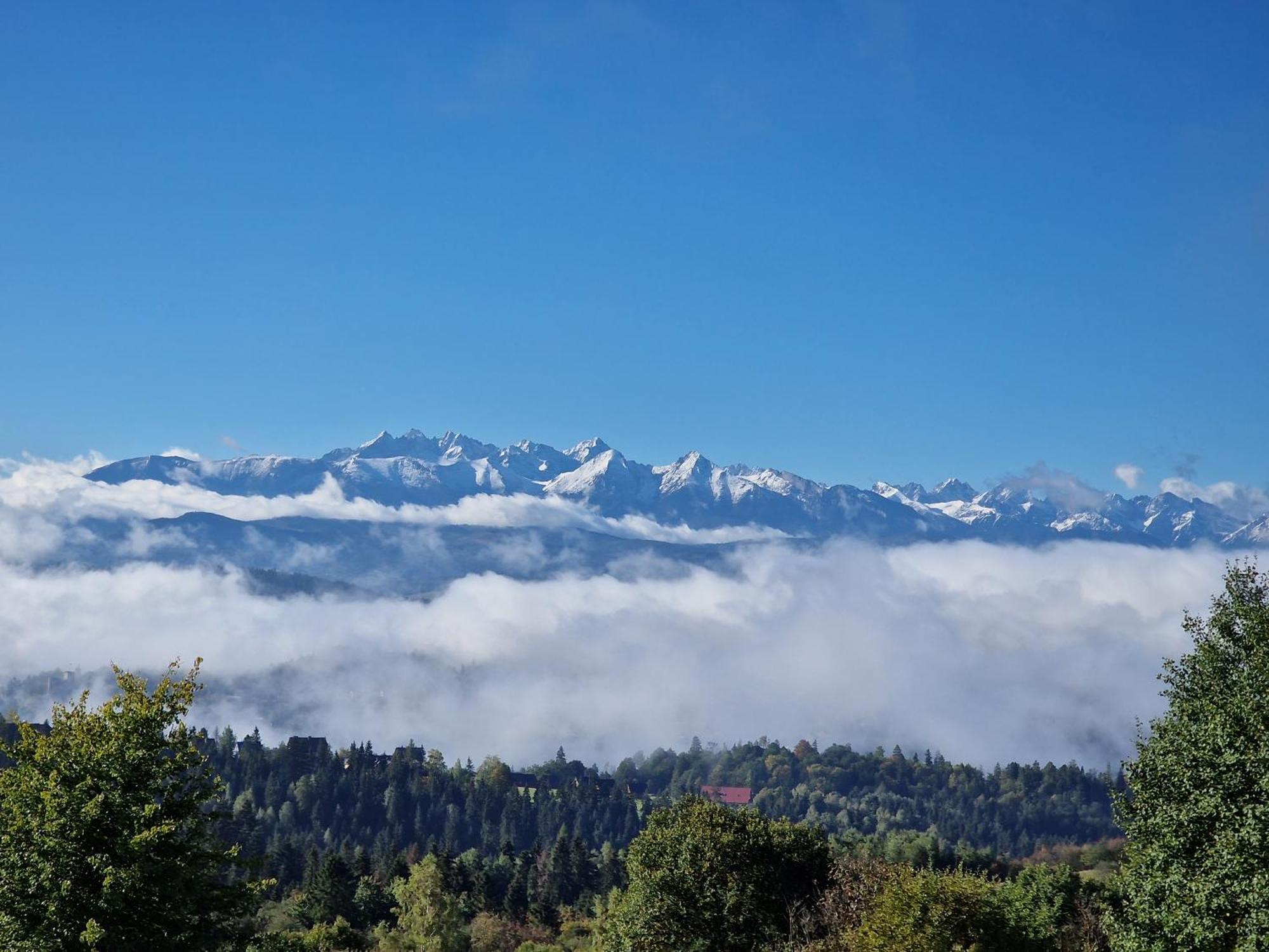 Lobrotno Gazdzina - Goralska Chalupa Na Wylacznosc Villa Bukowina Tatrzanska Bagian luar foto