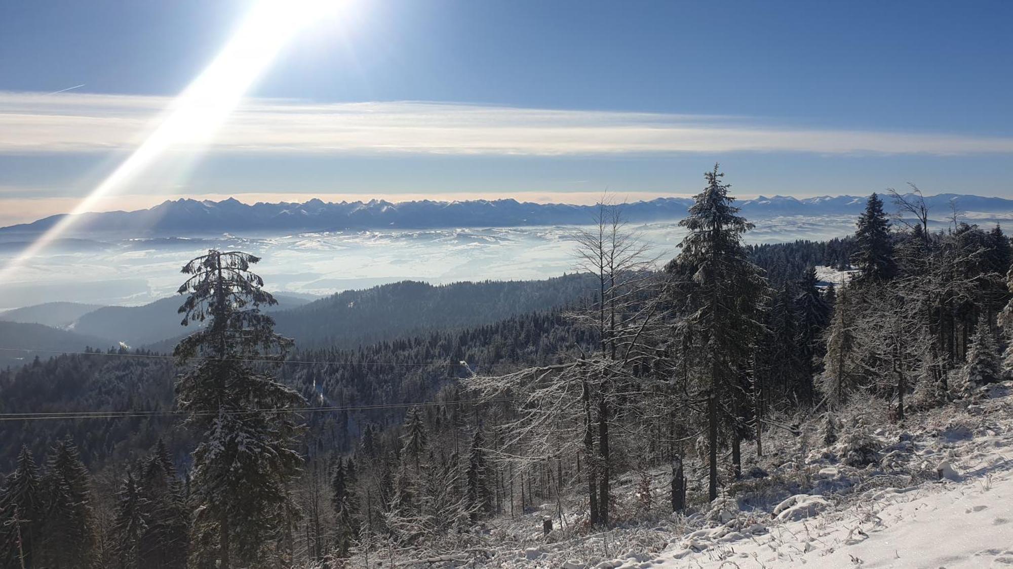 Lobrotno Gazdzina - Goralska Chalupa Na Wylacznosc Villa Bukowina Tatrzanska Bagian luar foto